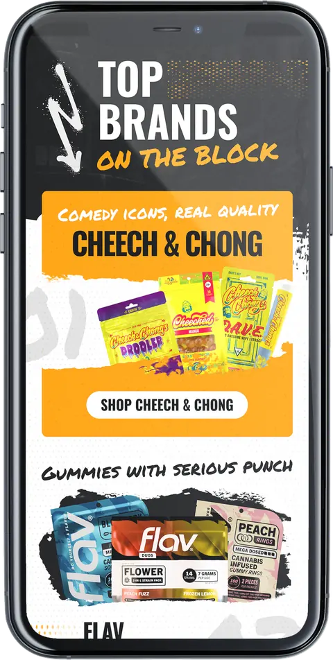 Tact campaign on a phone