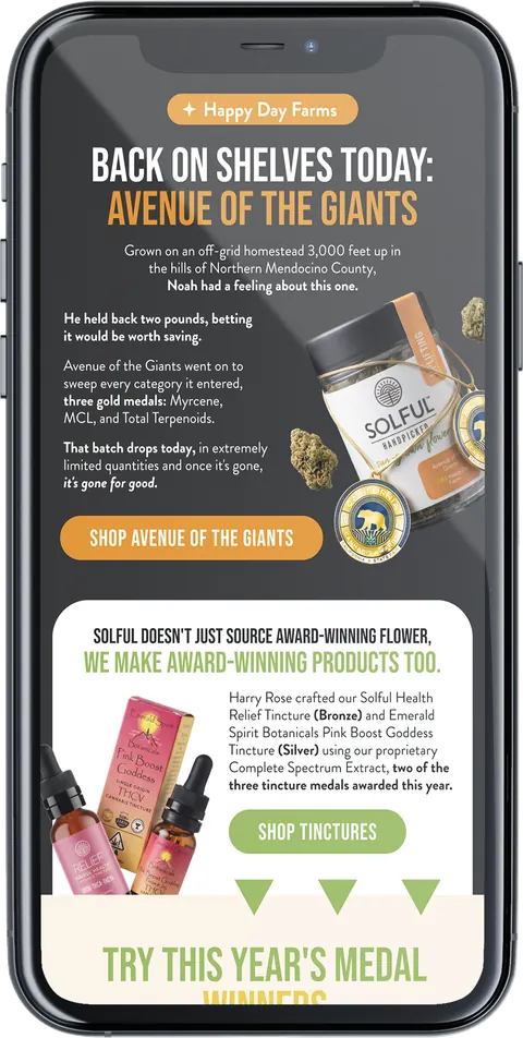 Tact campaign on a phone