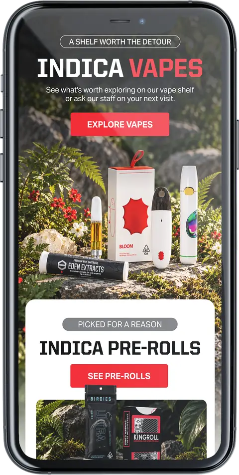 Tact campaign on a phone