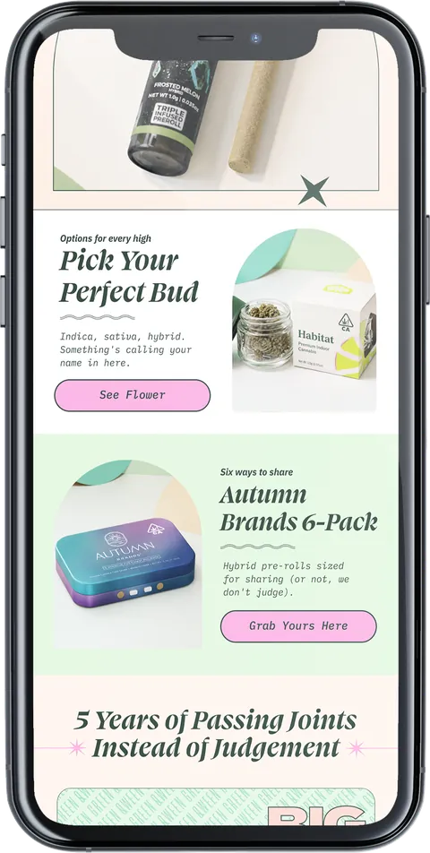 Tact campaign on a phone